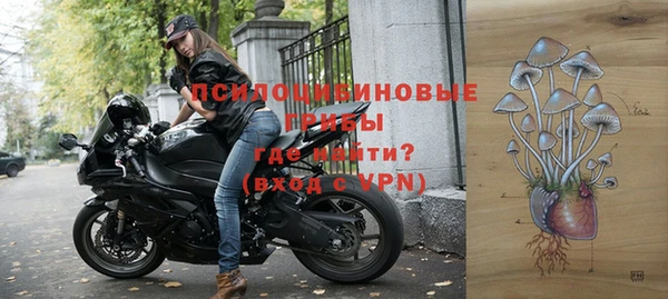 ГАЛЛЮЦИНОГЕННЫЕ ГРИБЫ Алзамай