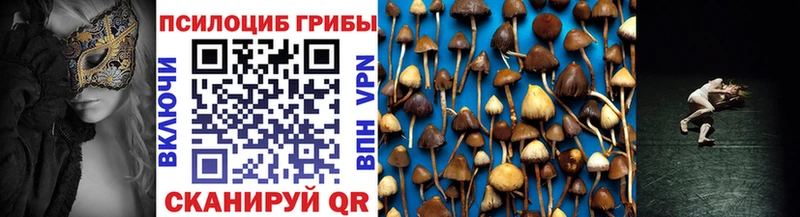 ссылка на мегу ТОР  купить закладку  Кочубеевское  Псилоцибиновые грибы GOLDEN TEACHER 